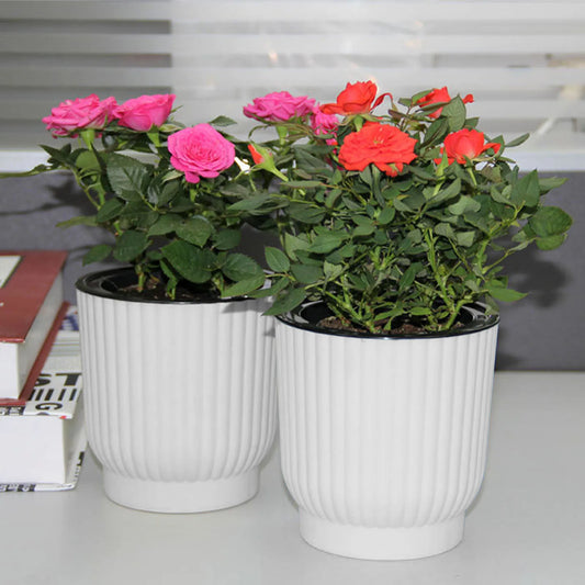 Plant Flower Pot Self Watering Pot White Round Planter Balcony Office Home Succulent Automatic Water-absorbing Flower Pots